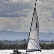 Owl Harbor Marina